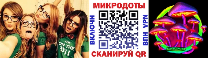 продажа наркотиков  Салаир  Галлюциногенные грибы MAGIC MUSHROOMS 